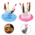 Pet Birthday Hat