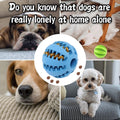 Dog Teething Toy Ball