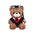A Bear In Doctor'S Suit