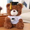 A Teddy Bear Wearing A Doctor's Cap