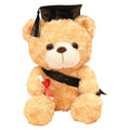 Dr. Hooded Bear Graduation Season Gift