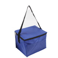 Portable Insulated Cooler Bag