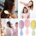 Portable Mini Wet Dry Hair Brush