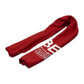 Rainier Performance Cooling Towel
