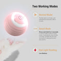 Silicone Interactive Ball Automatic Cat Toy