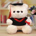 A Bear In Doctor'S Suit