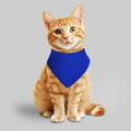 Full color Cotton Dog Bandana