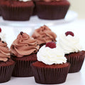 Cupcake Liners