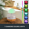 Night Light Essential Oil Diffuser Micro Humidifier