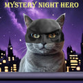 Cat Superhero Mask