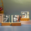 3D Engraved Marine Animal Crystal Cubes Night Light Gift