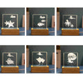 3D Engraved Marine Animal Crystal Cubes Night Light Gift