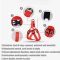 Rechargeable Light Up Dog Harness