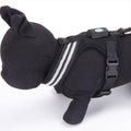 Luminous Pet Chest Harness