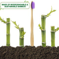 Eco-Friendly Bamboo Toothbrushes, 10-Pack, Soft Bristles