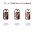 Rechargeable Portable Clip-on Selfie Fill Light With 36 LED