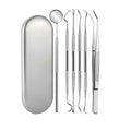 Portable Stainless Steel Toothpick Set - 6 Pieces