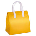 Non Woven Insulated Takeaway Bag