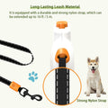 Tangle-Free Retractable Dog Leash