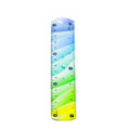 Colored Plastic Ruler