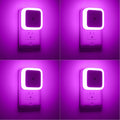 LED Night Light