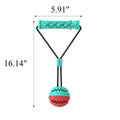 Leaky Food Ball Dog Toys