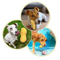 Squeaky Peanut Shape Dog Toy