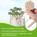 Wooden Plant Label Succulent Tag Garden Marker Plant Sign