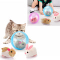Rotating Ball Toy