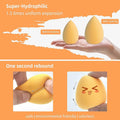 Makeup Egg Beauty Sponge Set