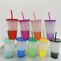 24 Oz. Sport Sipper Cup w/Straw & Lid