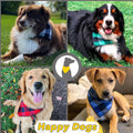 Soft Lightweight Fabric Dog Bandana