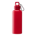 20 Oz. Ps Water Bottle W/ Carabiner