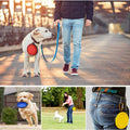 Collapsible Pet Bowl Silicone Expandable Cup Dish