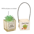 Craft Paper Gift Bag For Potted Plant/ Packaging W/ Handle