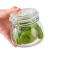 17OZ Glass Seal Airtight Food Storage Containers Honey Jar