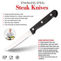 6-Piece Stainless Steel Steak Knife Set