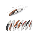 Multifunctional Hippocampus Bottle Opener