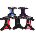 Pet Collar Set
