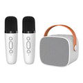 Portable Bluetooth Speaker With Wireless Microphone