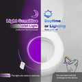Color Changing Toilet Light