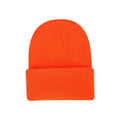 Winter Beanie Hat