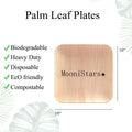 Square Palm Leaf Disposable Plates