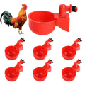 Chicken Water Cup