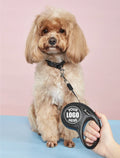 5M Automatic Retractable Dog Leash For Small Medium Dogs
