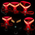 Luminous Pet Chest Harness