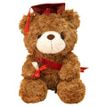Dr. Hooded Bear Graduation Season Gift