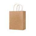 Paper Gift Bag With Handles