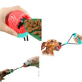 Leaky Food Ball Dog Toys