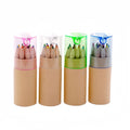 12 Colors Color Pencils Log Drawing Pencils